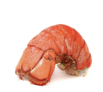 7 oz Lobster Tail (cooked) Add On