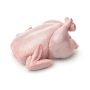 Chicken, Whole