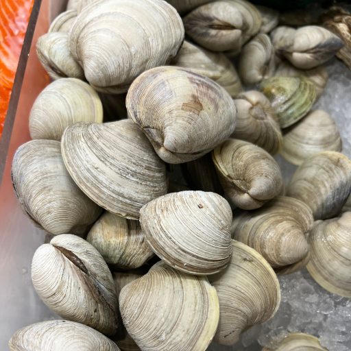 Little Neck Clams, 100 ct