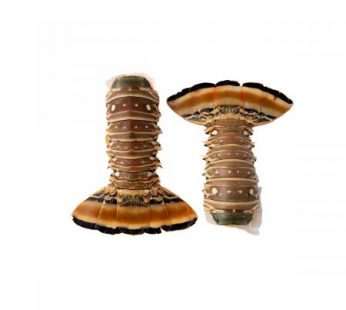 Rock Lobster Tail, 7 oz