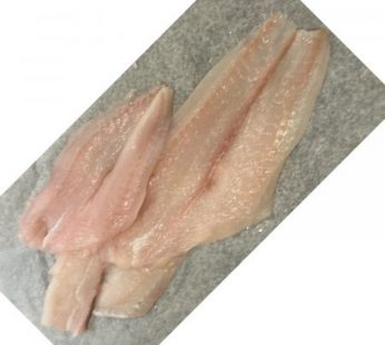 Flounder Filet