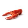 Lobster, Cooked, 2-3 lb each