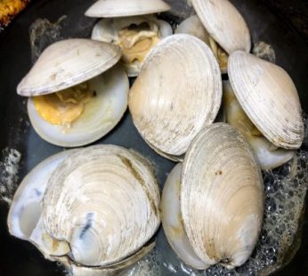 Little Neck Clams, Shucked