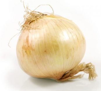Onion, Vidalia