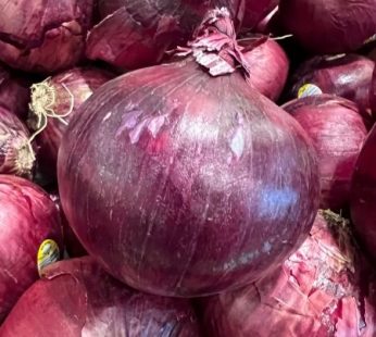 Onion, Red