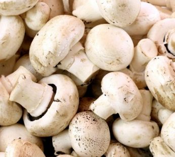Mushrooms, Whole, 10 oz Package